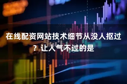 在线配资网站技术细节从没人抠过？让人气不过的是
