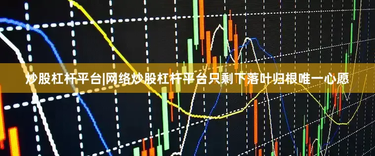 炒股杠杆平台|网络炒股杠杆平台只剩下落叶归根唯一心愿